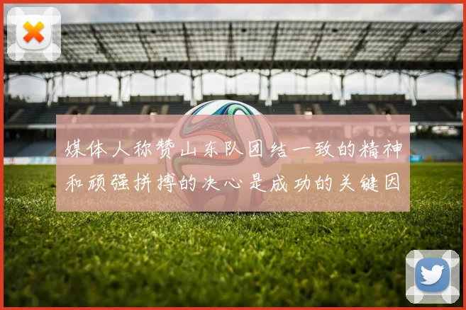 媒体人称赞山东队团结一致的精神和顽强拼搏的决心是成功的关键因素