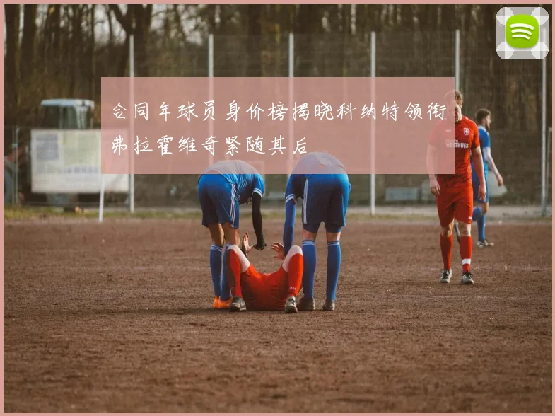 合同年球员身价榜揭晓科纳特领衔弗拉霍维奇紧随其后