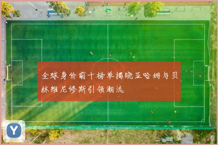 全球身价前十榜单揭晓亚哈姆与贝林维尼修斯引领潮流