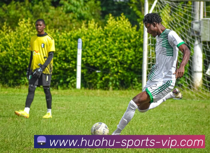 火狐体育发展历程